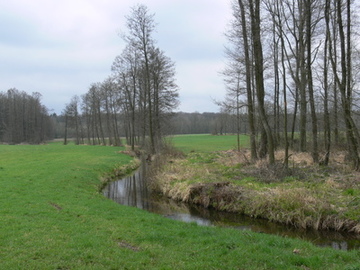 Im Mittellauf grenzen landwirtschaftliche Nutzflächen an den Bach an.