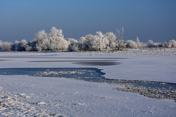 Überstautes Grünland im Winter im NSG "Fischerhuder Wümmeniederung"